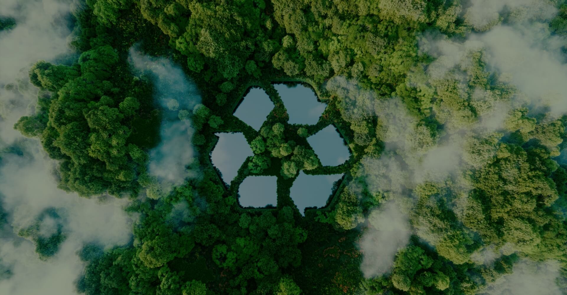 Comprometidos con el Medioambiente y tu salud